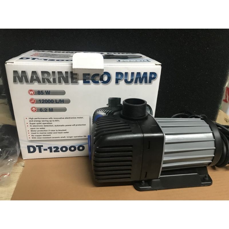Bơm Jecod DT 5500-7000-8500-10000-12000